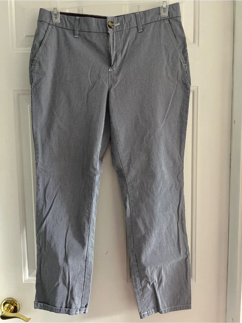 Tommy Hilfiger blue and white Chino Pants